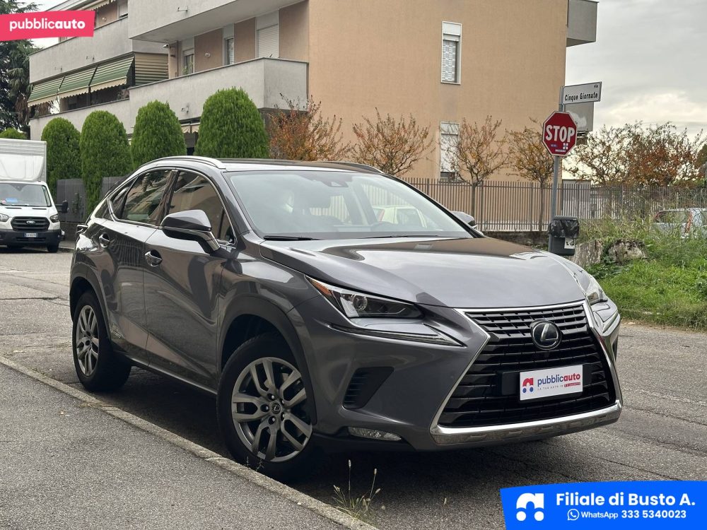 Lexus NX-Series usata a Busto Arsizio — foto 6