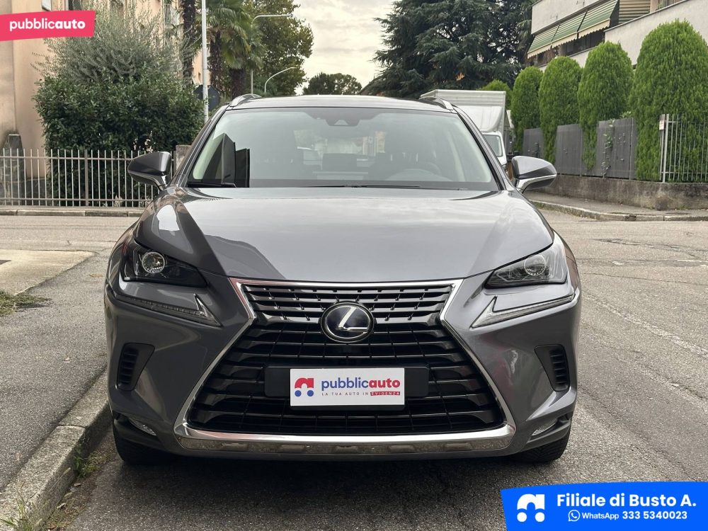 Lexus NX-Series usata a Busto Arsizio — foto 7